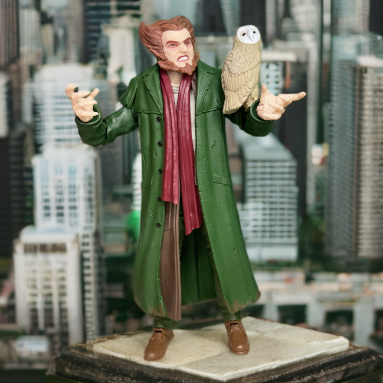 Picture of the owl with his owl accessory standing on a rooftop in the city.