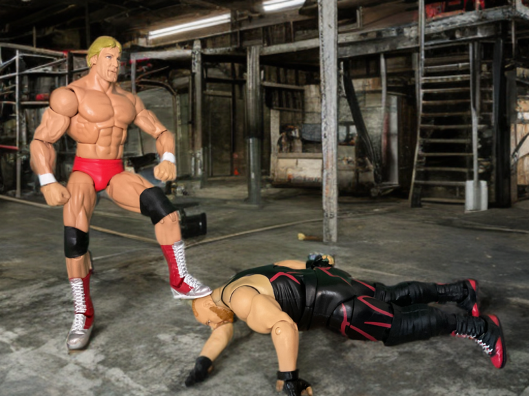 Fantasy Action Figures custom diorama of Vader vs Paul Orndorff real fight.